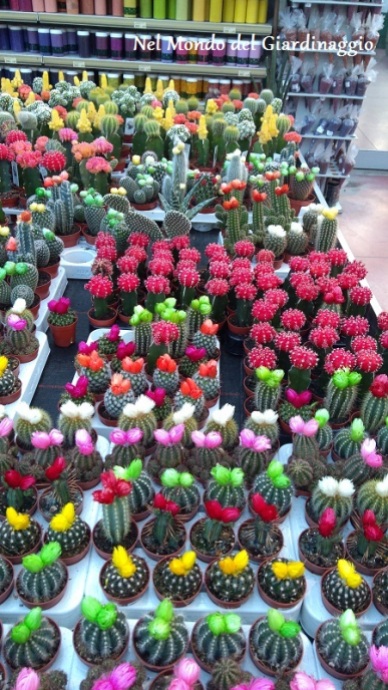 Grande Cactus artificiale fiore finto succulente finestra
